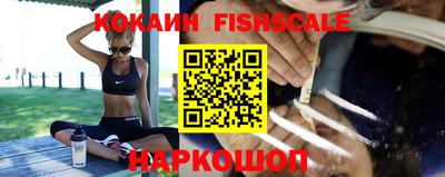 крисы Донецк