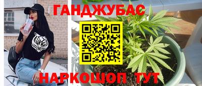 крисы Донецк