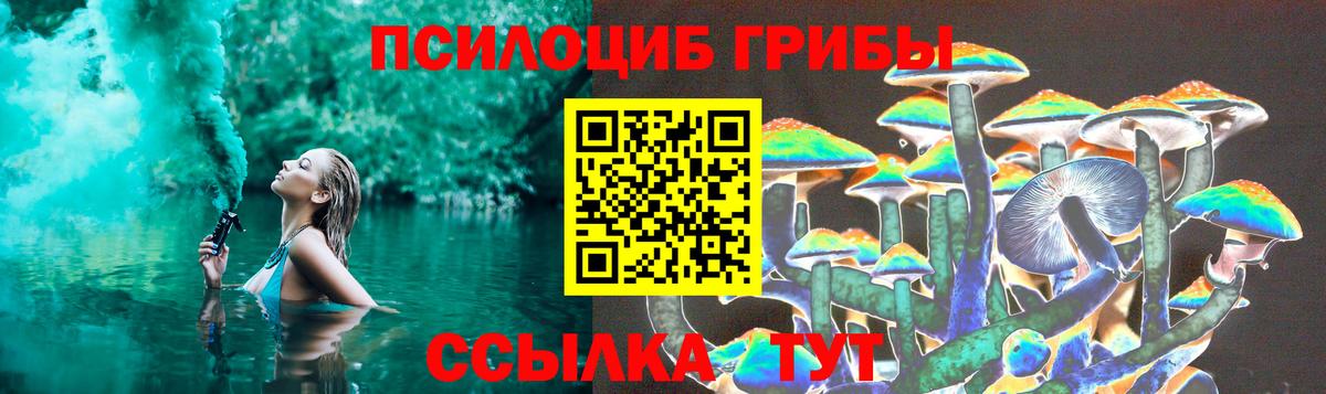 Москва  купить   Галлюциногенные грибы Cubensis  Вход с VPN  Галлюциногенные грибы GOLDEN TEACHER 